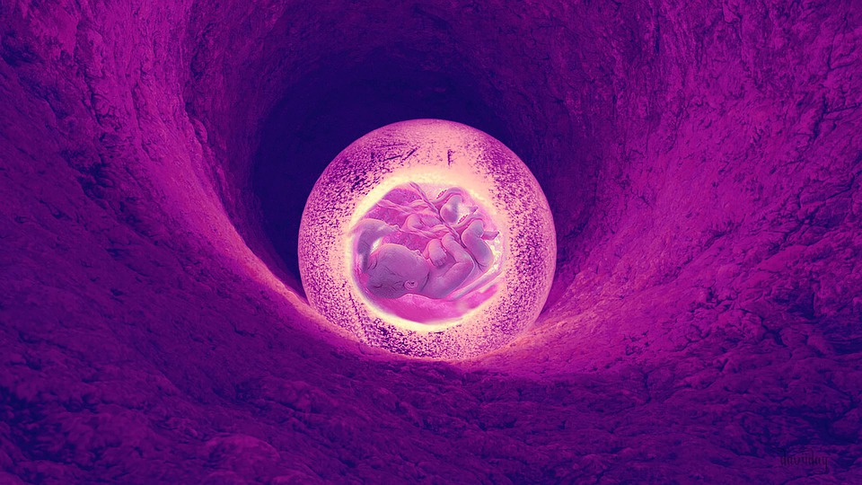 Baby 1.jpg